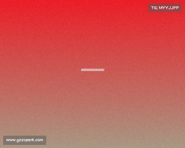 自由搏击赛事秩序册自由搏击赛制